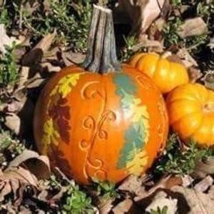 Meet your Posher, Suzanne